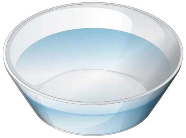 Scoop Bowl - Image 4